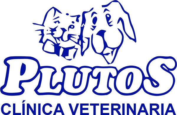 veterinario madrid