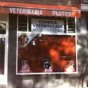 Veterinarios en Madrid 6