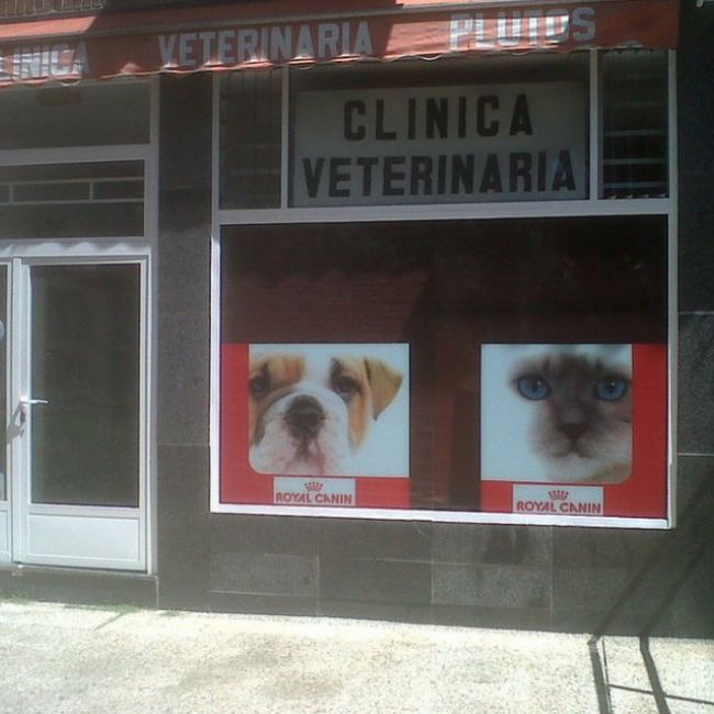 Clínica veterinaria en Madrid