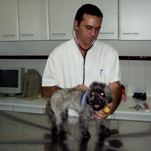 Veterinarios en Madrid 4