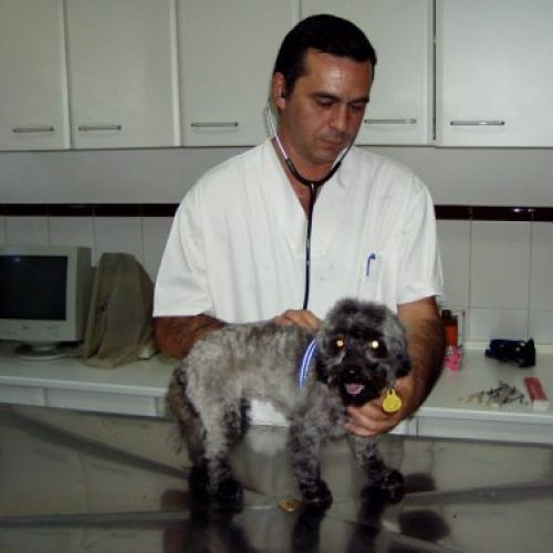 Veterinarios en Madrid 4