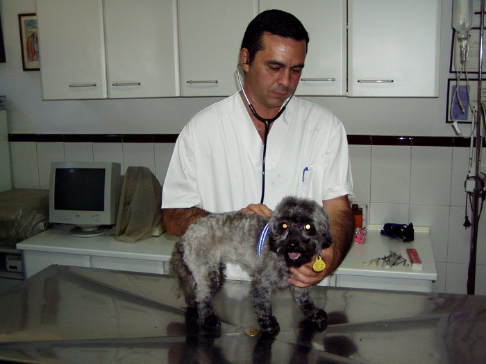 veterinarios en Madrid