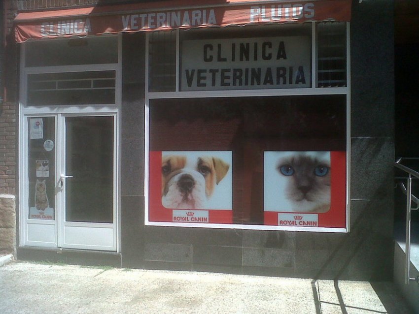clínica veterinaria en Madrid